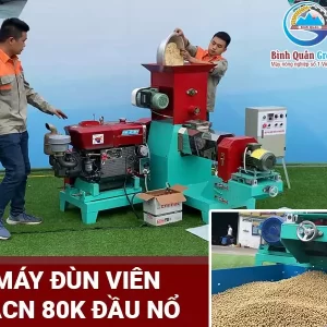 máy đùn cám viên nổi 80K đầu nổ