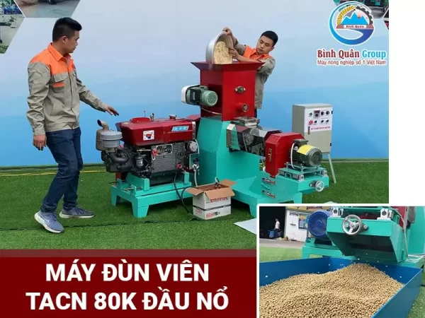 máy đùn cám viên nổi 80K đầu nổ